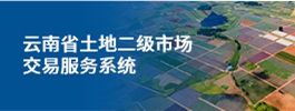 云南省土地二级市场交易服务系统
