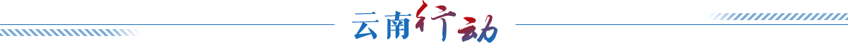 云南行动