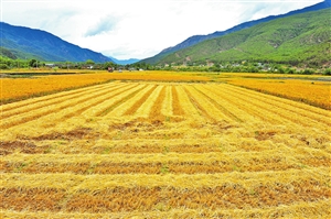 http://yndaily.yunnan.cn/images/1/yndaily/2018-07/23/06/2018072306_res20_attpic_icon.jpg