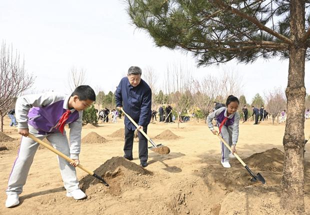 镜观·领航丨从植绿护绿，领悟总书记的政绩观